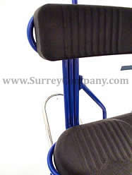 four (4) wheel Surrey bike reinforced frame