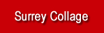 surrey collage